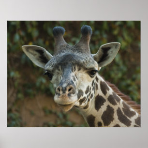 Good Morning Friend Poster