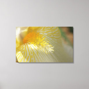 Good Morning Iris! Canvas Print