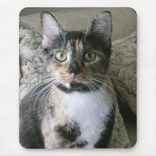 Good Morning Kitty! Calico will brighten your day! Mouse Mat (Front)