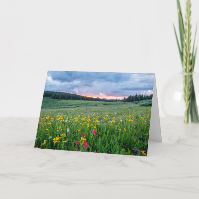 Good Morning Meadow, Card (Front)