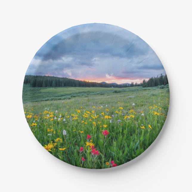 Good Morning Meadow, Paper Plate (Front)