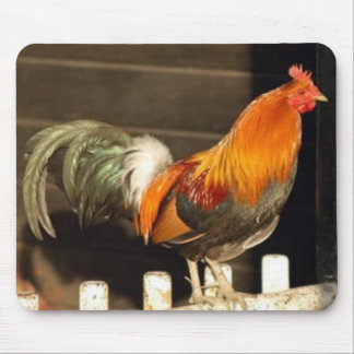 Good Morning Mouse Mat