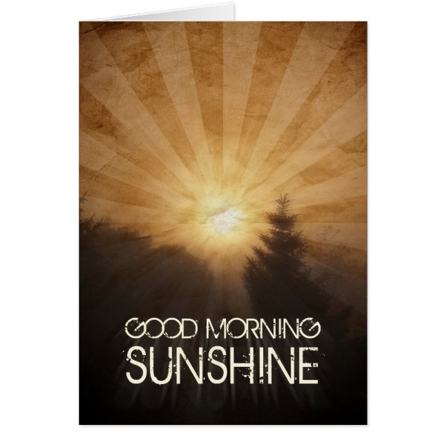 Good Morning Sunshine (Front)