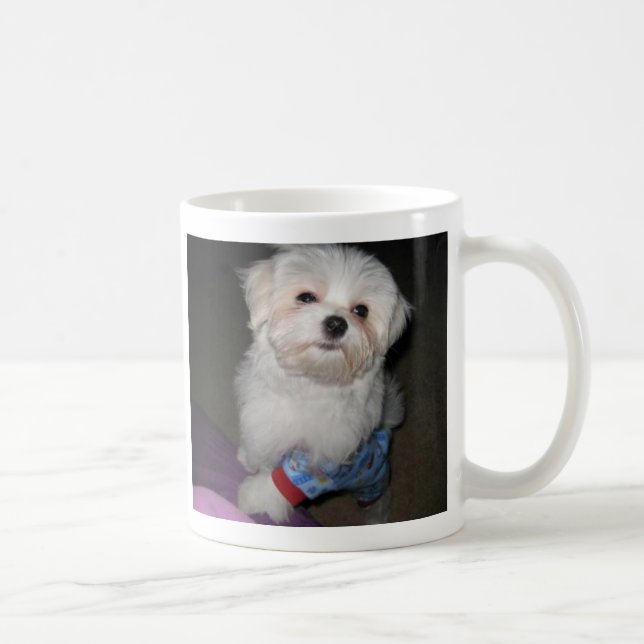 Good Morning Sunshine Maltese Mug (Right)