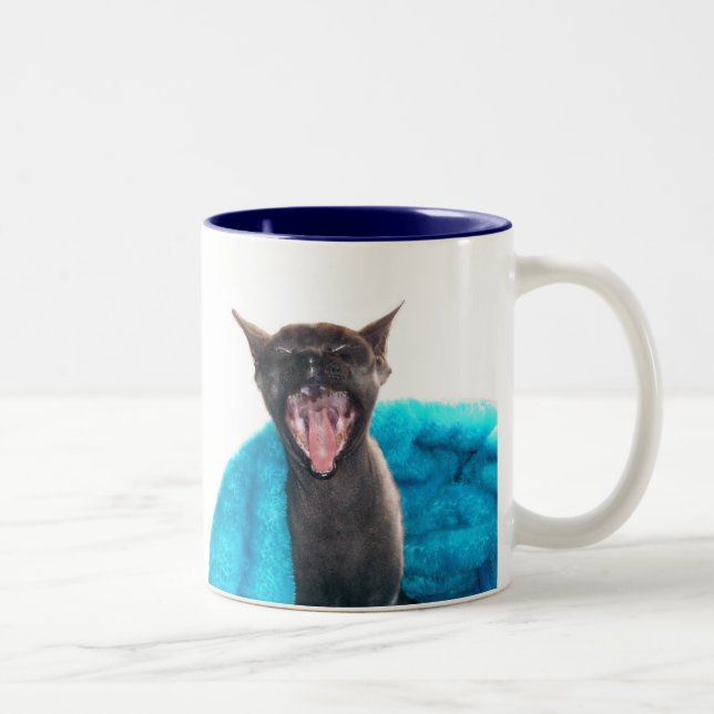 Good Morning Sunshine Mug (Right)