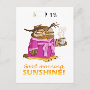 Good morning sunshine owl postcard