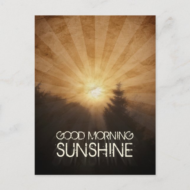 Good Morning Sunshine Postcard (Front)