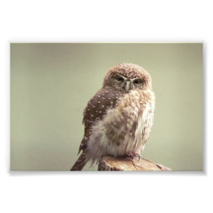 Good Morning to you photo