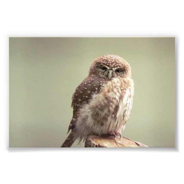 Good Morning to you photo (Front)