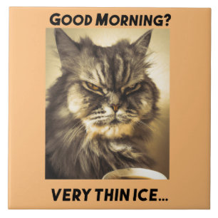 Good morning! Very thin ice. Cat with ironic touch Tile