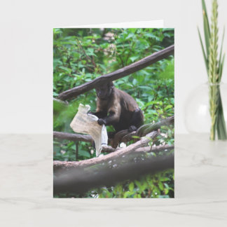 Good News Monkey says Congratulations Card