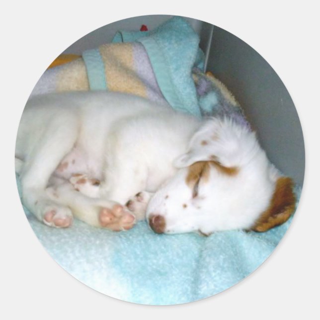Good Night! - Cute Sleeping Puppy Classic Round Sticker (Front)