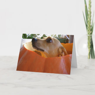 Good Rufus Chihuahua Halloween Pumpkin Card