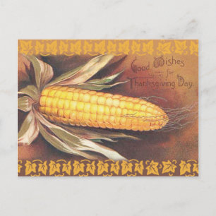 Good Wishes For Thanksgiving Holiday Postcard
