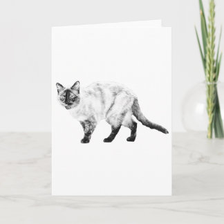 Good Wishes, Gentle Cat Card