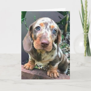 **GOODBYE AND I WILL MISS YOU*** CARD