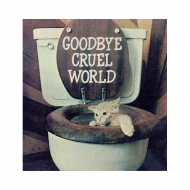 "Goodbye Cruel World" Standing Photo Sculpture (Front)