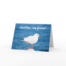 Goodbye Gull Sayonara Auf Wiedersehen Despedida