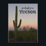 Goodnight from Tucson Saguaro Sunset Postcard<br><div class="desc">Hi there! Hope you like this photo I captured on my travels. Feel free to add your own text! Check my shop for more.</div>