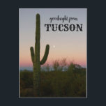 Goodnight from Tucson Saguaro Sunset Postcard<br><div class="desc">Hi there! Hope you like this photo I captured on my travels. Feel free to add your own text! Check my shop for more.</div>