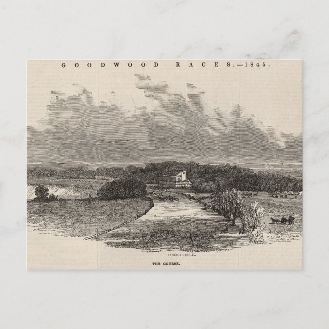 Goodwood Races: the Course Postcard (Front)