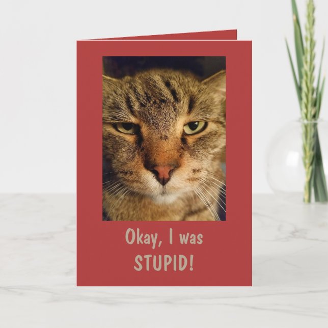 Goofy Cat "I'm Sorry" Card (Front)