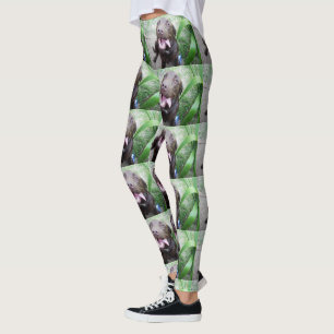 Goofy Delights: Chocolate Brown Labrador Puppy, Leggings