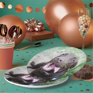 Goofy Delights: Chocolate Brown Labrador Puppy, Paper Plate