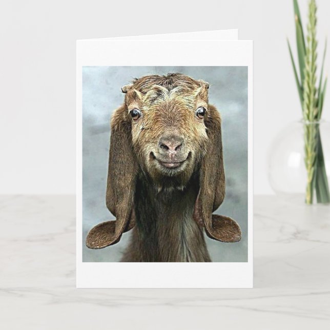 GOOFY GOAT **IT'S YOUR BIRTHDAY!!!!** CARD (Front)
