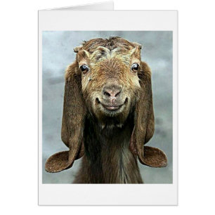 GOOFY GOAT SAYS YOU "50" LOOKS "GOOD ON  YOU!"