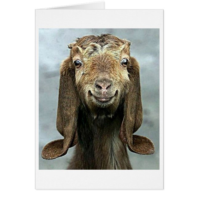 GOOFY GOAT SAYS YOU "50" LOOKS "GOOD ON  YOU!" (Front)