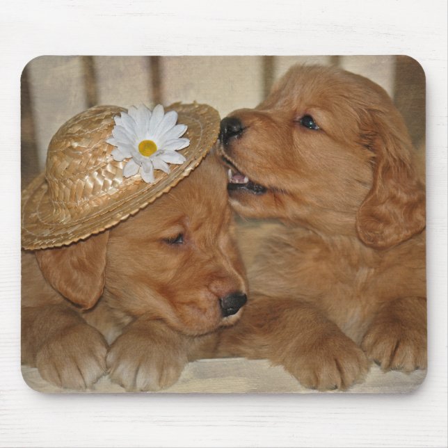 Goofy Golden Retriever Puppies Mouse Mat (Front)