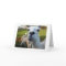 Goofy Llama Blank Greeting Card