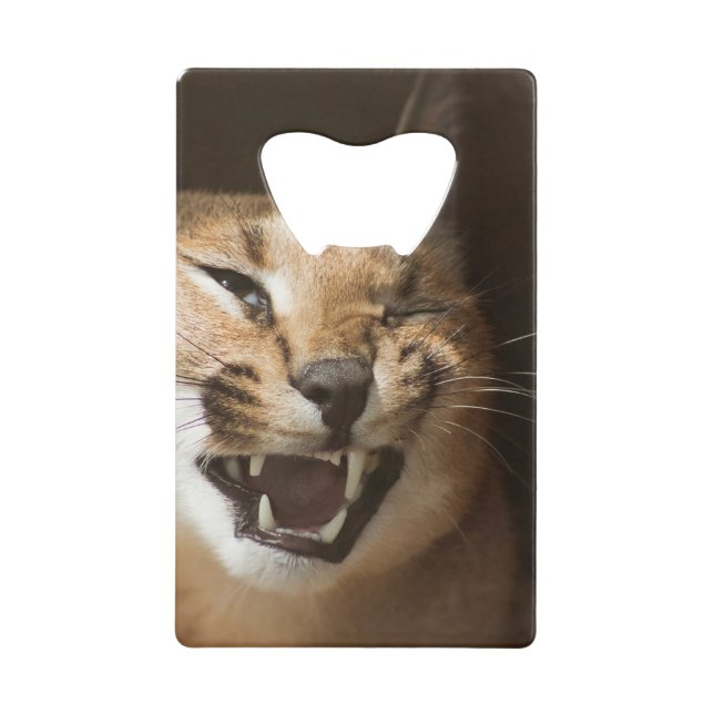 Goofy Lynx (Front)