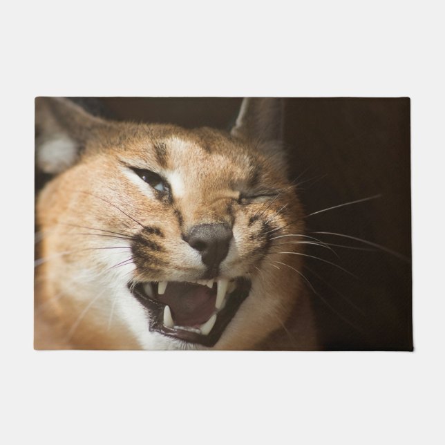 Goofy Lynx Doormat (Front)