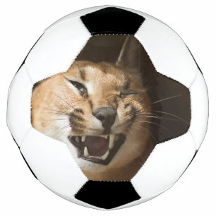 Goofy Lynx Football