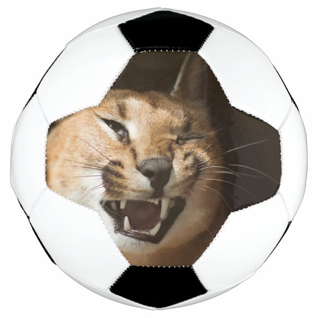 Goofy Lynx Football (Front)