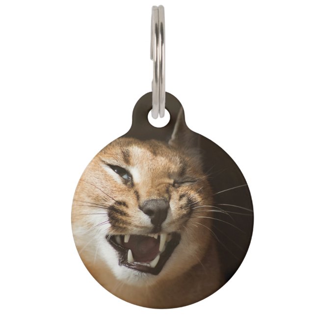 Goofy Lynx Pet Tag (Front)