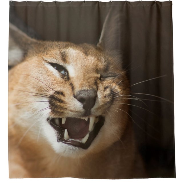 Goofy Lynx Shower Curtain (Front)