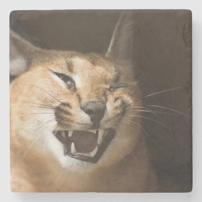 Goofy Lynx Stone Coaster (Front)