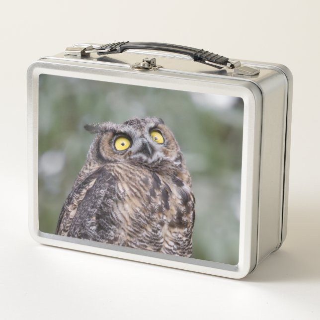 Goofy Owl Metal Lunchbox (Front)