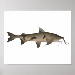 Goonch Poster