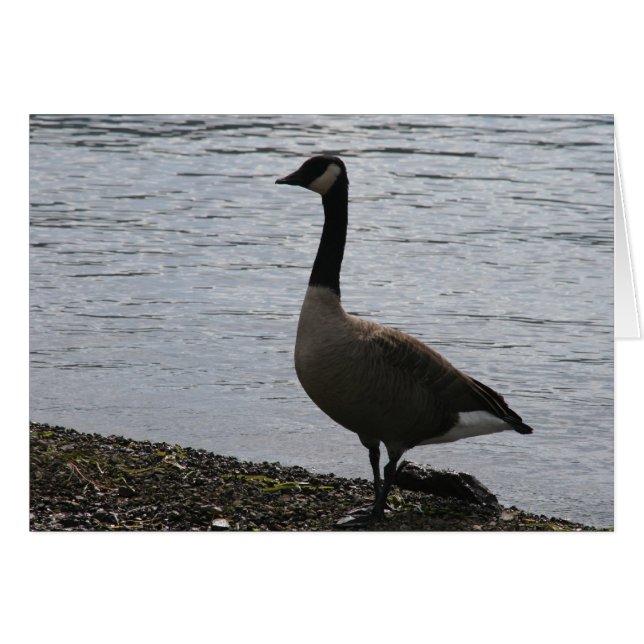 goose (Front Horizontal)