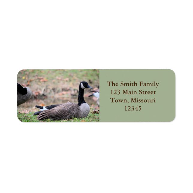 Goose (Front)