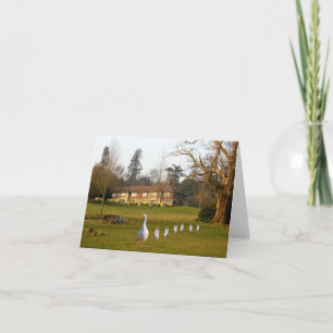 Goose and Goslings day out Card