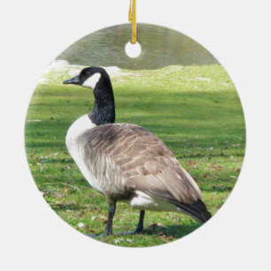 Goose at the waterfront, Wildlife Animals, Nature Ceramic Tree Decoration