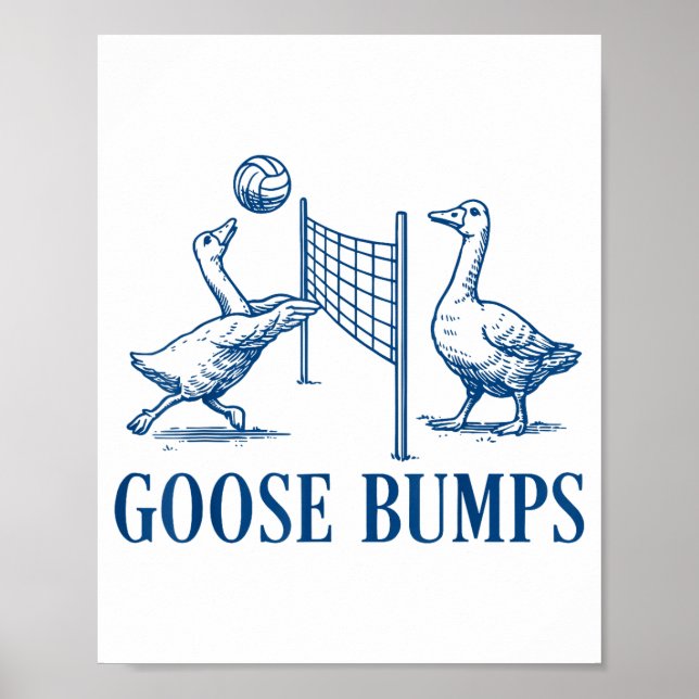 Goose Bumps Volleyball  Poster (Front)