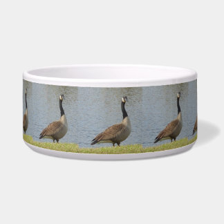 Goose By Pond Dog Bowl