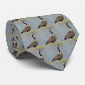 Goose By Pond Tie