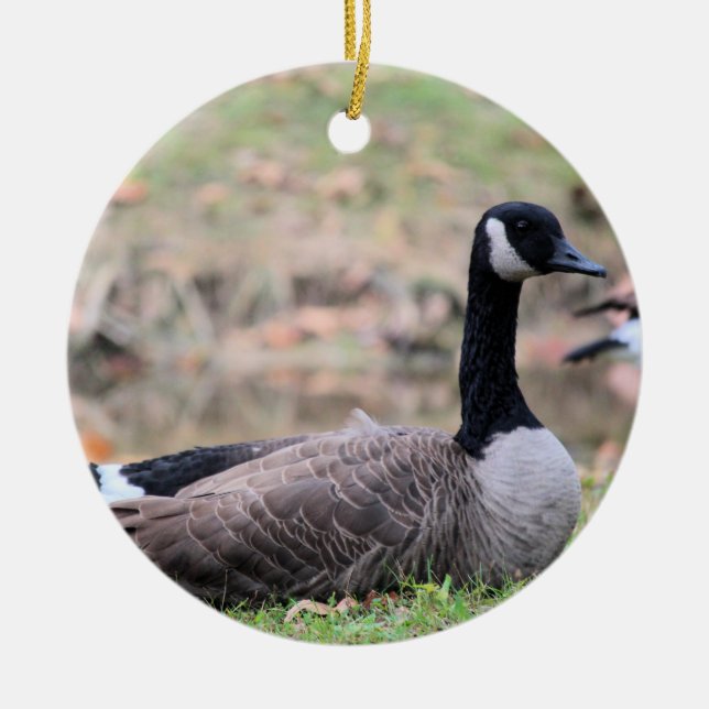Goose Ceramic Tree Decoration (Front)